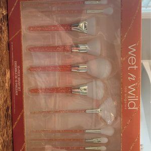 10 Piece Holiday Brush Set